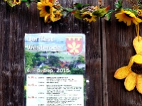 3 Programm